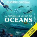 A Grown-Up Guide to Oceans