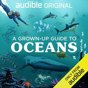 A Grown-Up Guide to Oceans