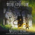 Reincarnation: Threads of Fate, Book 1
