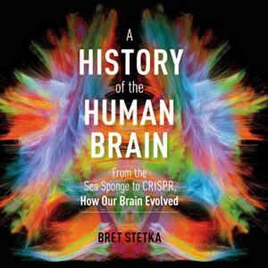 A History of the Human Brain