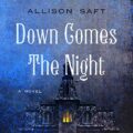 Down Comes the Night: A Novel