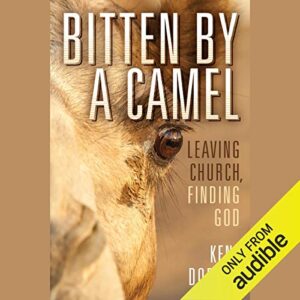 Bitten by a Camel