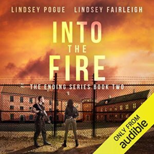 Into the Fire: The Ending Series