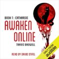 Awaken Online: Catharsis