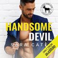 Handsome Devil: A Hero Club Novel
