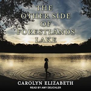 The Other Side of Forestlands Lake