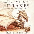 In the Labyrinth of Drakes