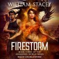 Firestorm: The Awakened World
