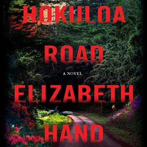 Hokuloa Road: A Novel