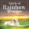 Angels of Rainbow Bridge: Life After Transition