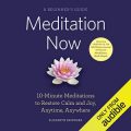 Meditation Now: A Beginners Guide