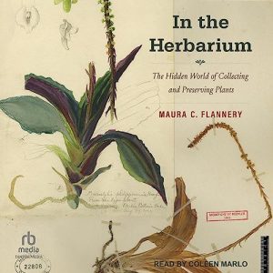 In the Herbarium