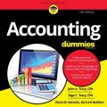 Accounting for Dummies (7th Edition)