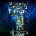 Meddling in Magical Pursuits