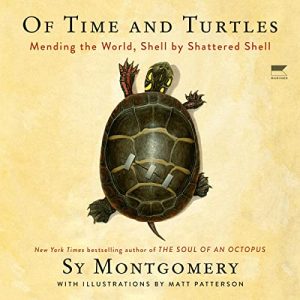 Of Time and Turtles