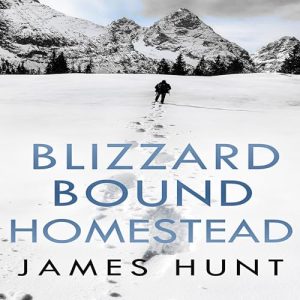 Blizzard Bound Homestead