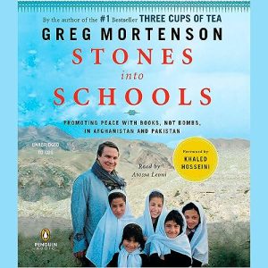 Stones into Schools