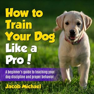 How to Train Your Dog like a Pro