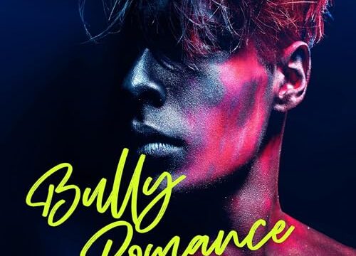 Bully Romance Box Set