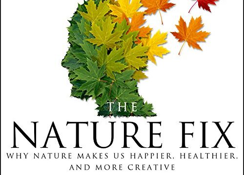 The Nature Fix