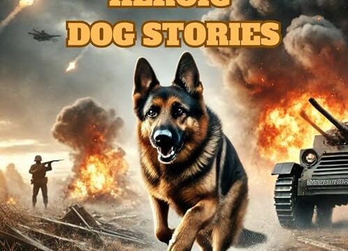 Heroic Dog Stories