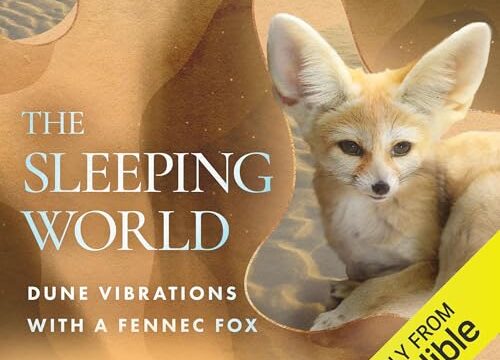 The Sleeping World: Dune Vibrations with a Fennec Fox