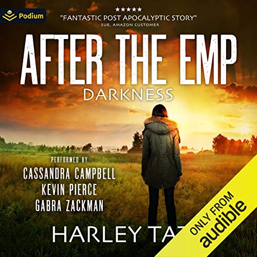 Darkness: After the EMP