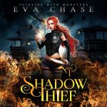 Shadow Thief