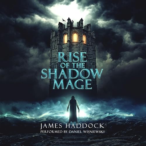 Rise of the Shadow Mage