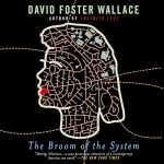 The Broom of the System
