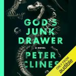 God's Junk Drawer