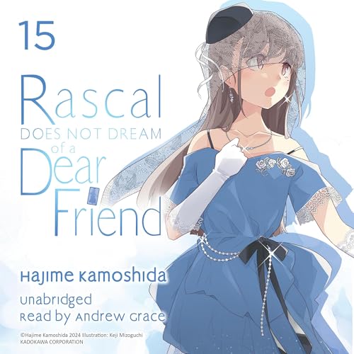 Rascal Does Not Dream of a Dear Friend 15