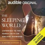 The Sleeping World: Listening to the Forest with an Ancient Redwood