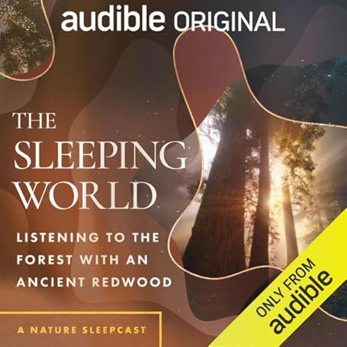 The Sleeping World: Listening to the Forest with an Ancient Redwood