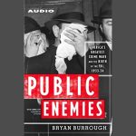 Public Enemies