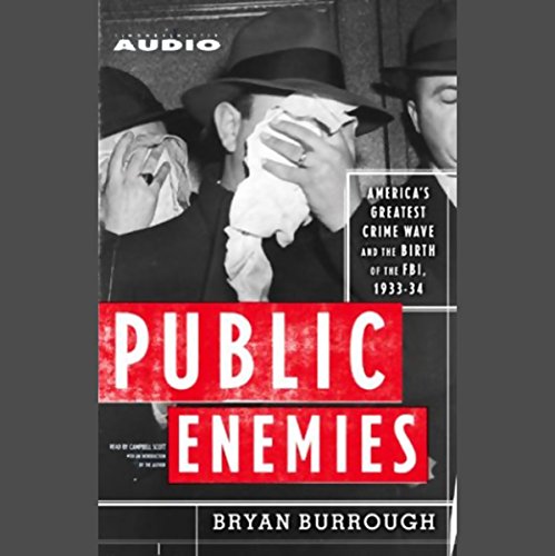 Public Enemies