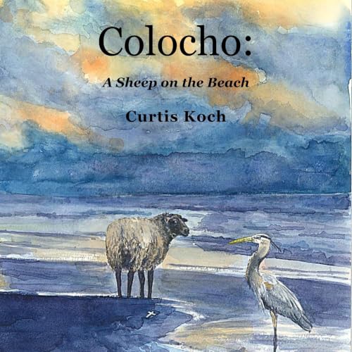 Colocho: A Sheep on the Beach