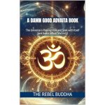 A Damn Good Advaita Book